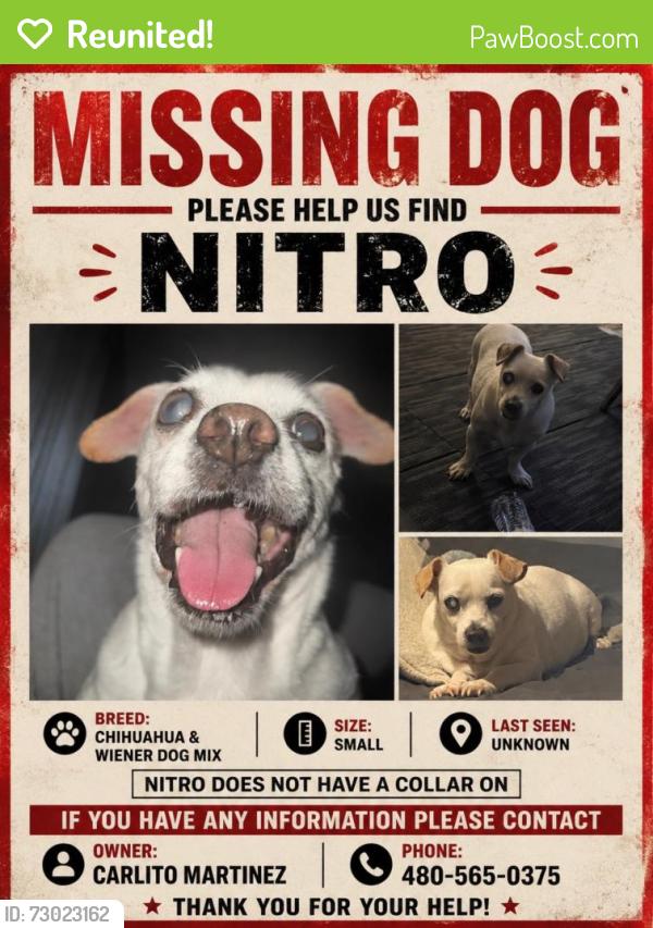 Reunited Male Dog last seen Southern & Dobson, Tempe, AZ 85282