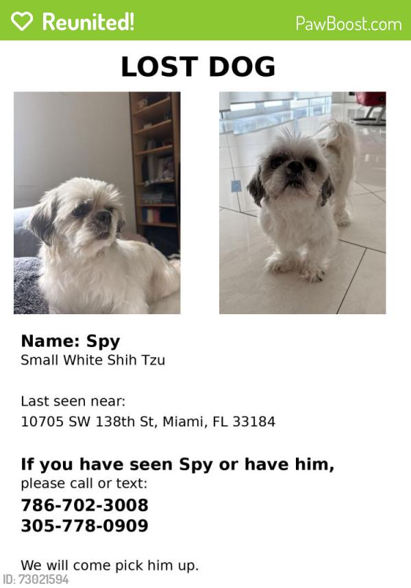 Reunited Male Dog last seen Miami , Miami, FL 33176