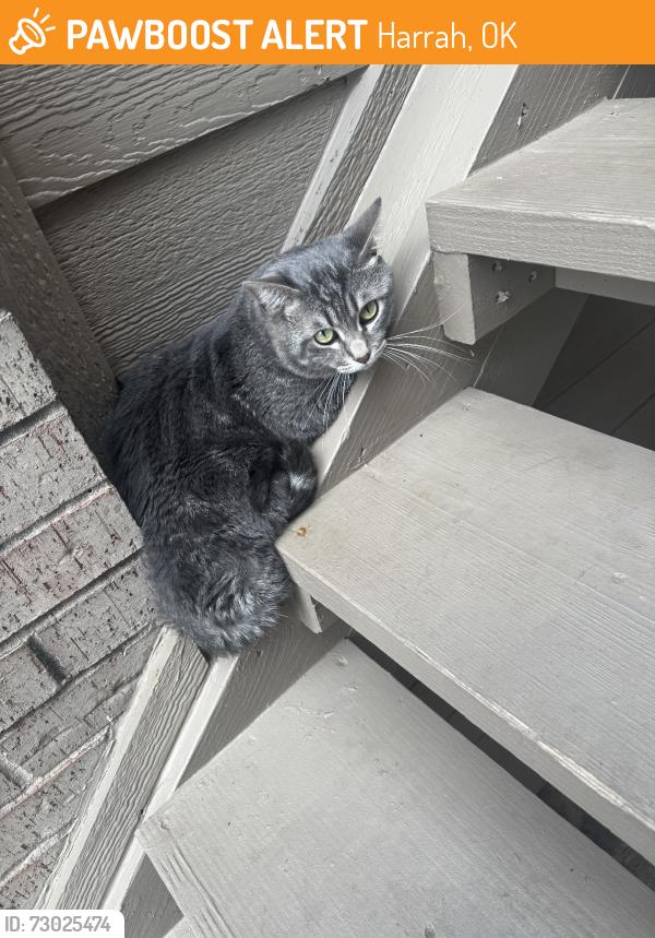 Found/Stray Male Cat last seen Harrah rd, Harrah, OK 73045