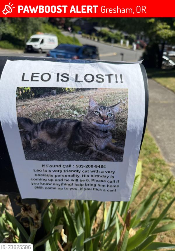 Lost Male Cat last seen El Camino, Gresham, OR 97030