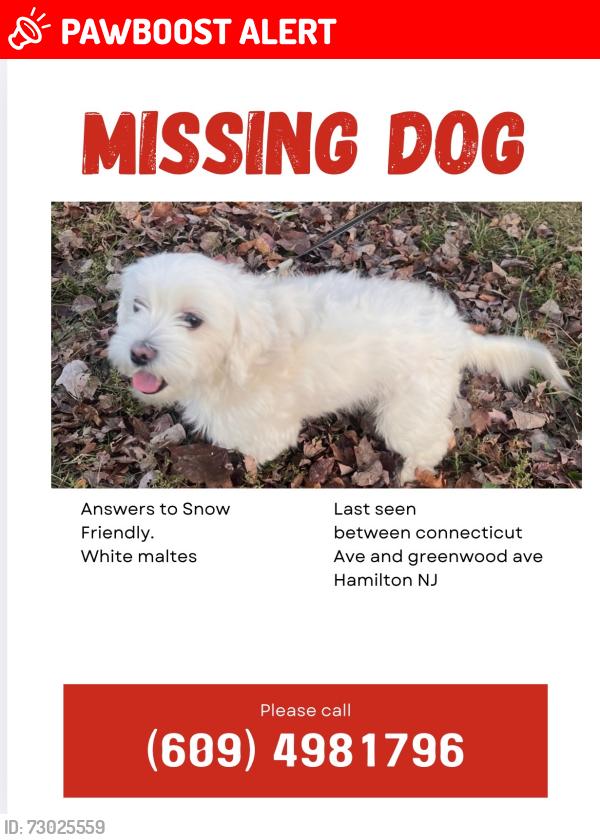 Lost Female Dog last seen Cerca de la lavanderia, Hamilton Township, NJ 08629