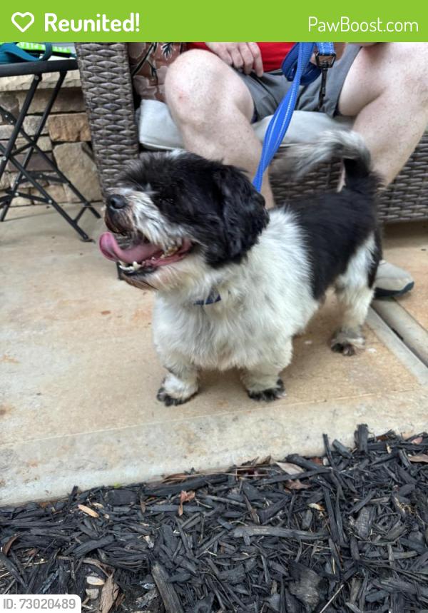 Reunited Male Dog last seen Seven Oaks Neighborhood, Charlotte, NC 28215