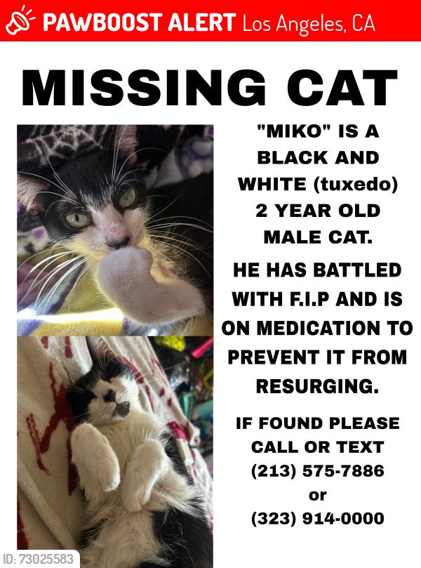 Lost Male Cat last seen Near 8th&Rosalind Wyvernwood apmts, Los Angeles, CA 90023