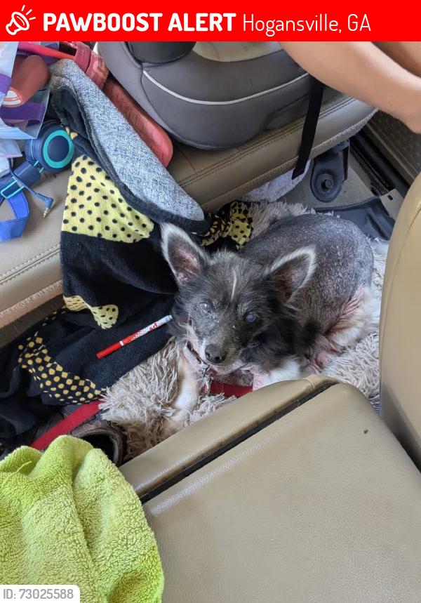 Lost Male Dog last seen Hogansville rd, Hogansville, GA 30230