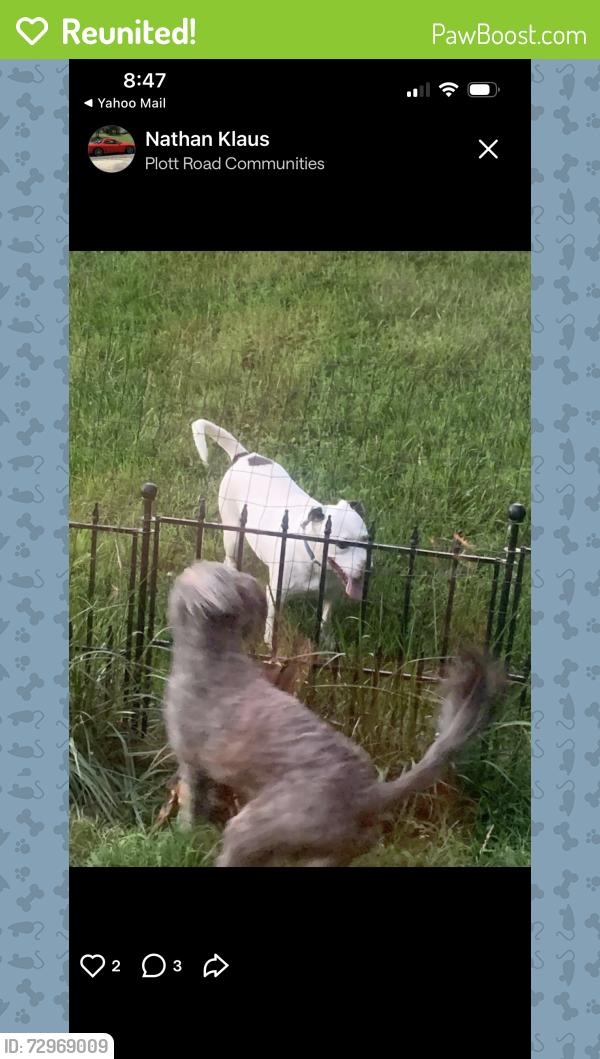Reunited Unknown Dog last seen Plott/Burnt Umber Dr, Charlotte, NC 28215