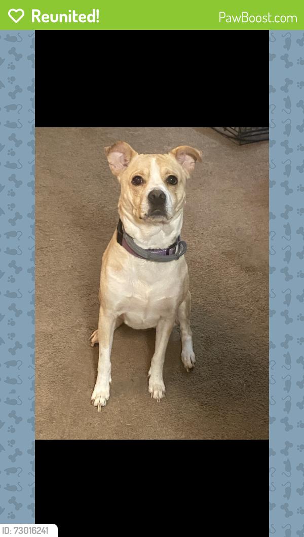 Reunited Female Dog last seen Chico Road, Pascagoula, MS 39581