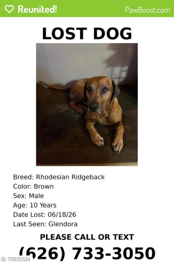 Reunited Male Dog last seen Near N Pennsylvania Ave, Glendora, CA 91741, USA, Glendora, CA 91741