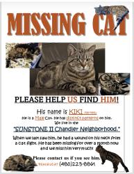 Lost Male Cat last seen Warner and McQueen, Chandler, AZ 85225