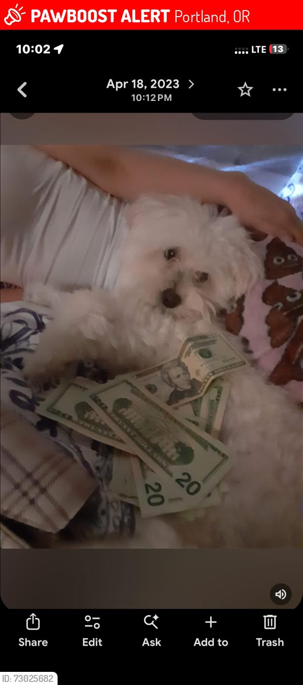 Lost Male Dog last seen 64th prescott, Portland, OR 97218