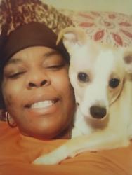 Lost Male Dog last seen Fruitridge rd., Sacramento, CA 95820