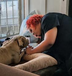 Reunited Female Dog last seen Avalon and alondra, Compton, CA 90220