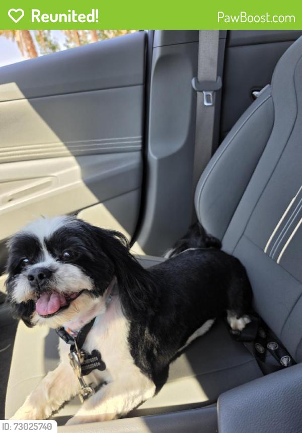 Reunited Male Dog last seen Near Lipari Dr, Moreno Valley, CA 92551, USA, Moreno Valley, CA 92551