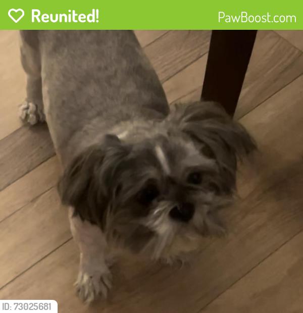 Reunited Female Dog last seen Randall and cedar ave , Bloomington, CA 92316