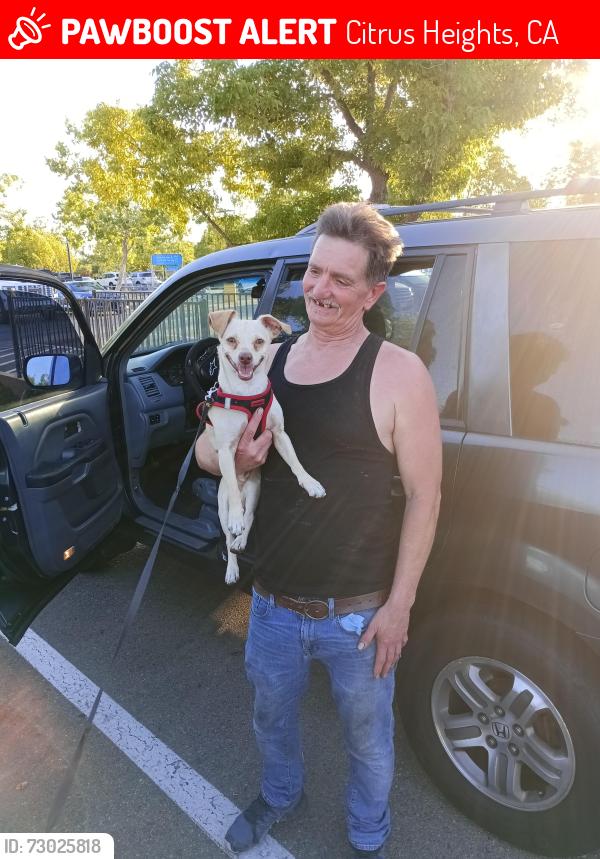 Lost Male Dog last seen Coloma . By goodwill, Citrus Heights, CA 95610