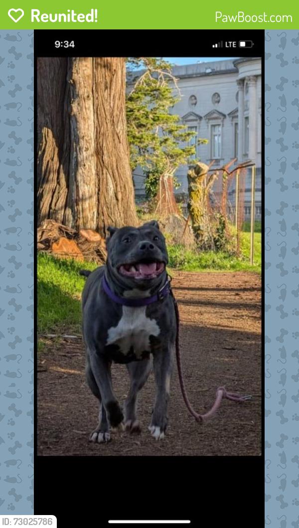Reunited Female Dog last seen Near w macarthur , Oakland, CA 94609
