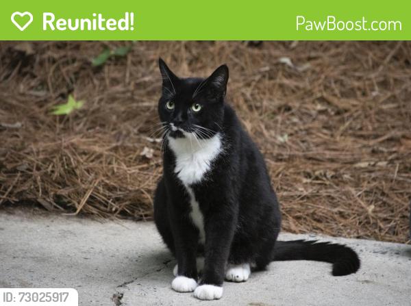 Reunited Male Cat last seen W Meyer and Valley, Kansas City, MO 64113