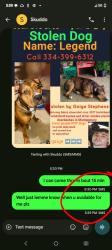 Lost Male Dog last seen Studio lodge Montgomery Alabama , Montgomery, AL 36104