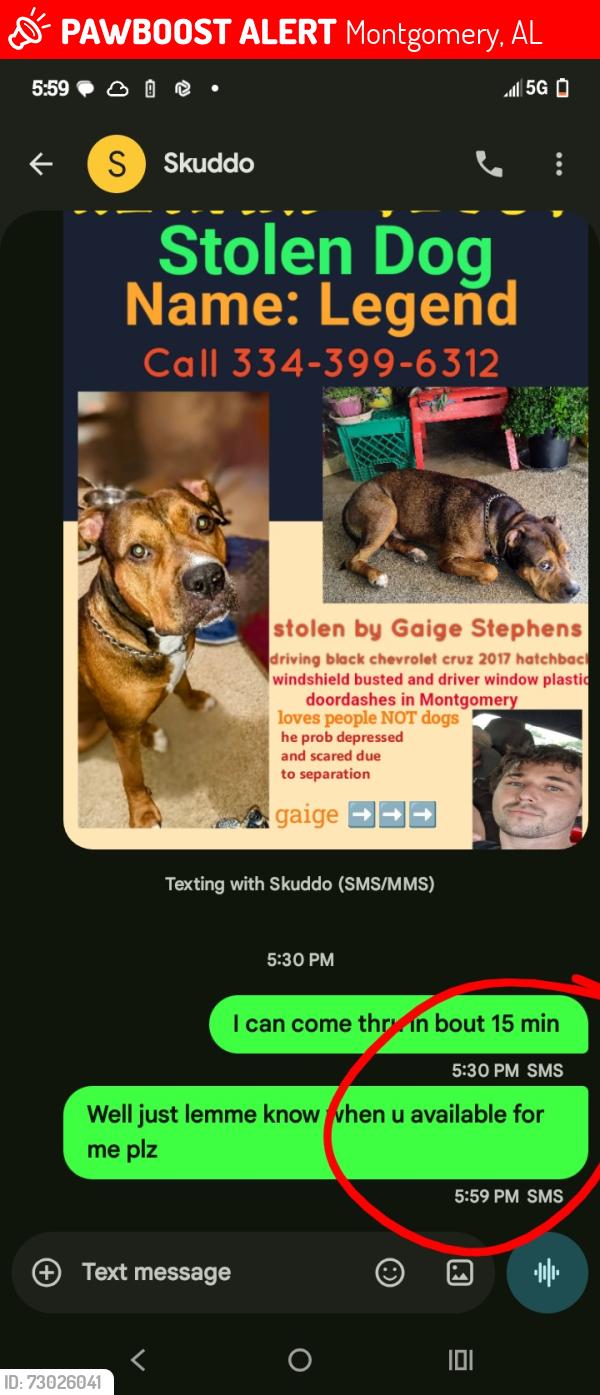 Lost Male Dog last seen Studio lodge Montgomery Alabama , Montgomery, AL 36104