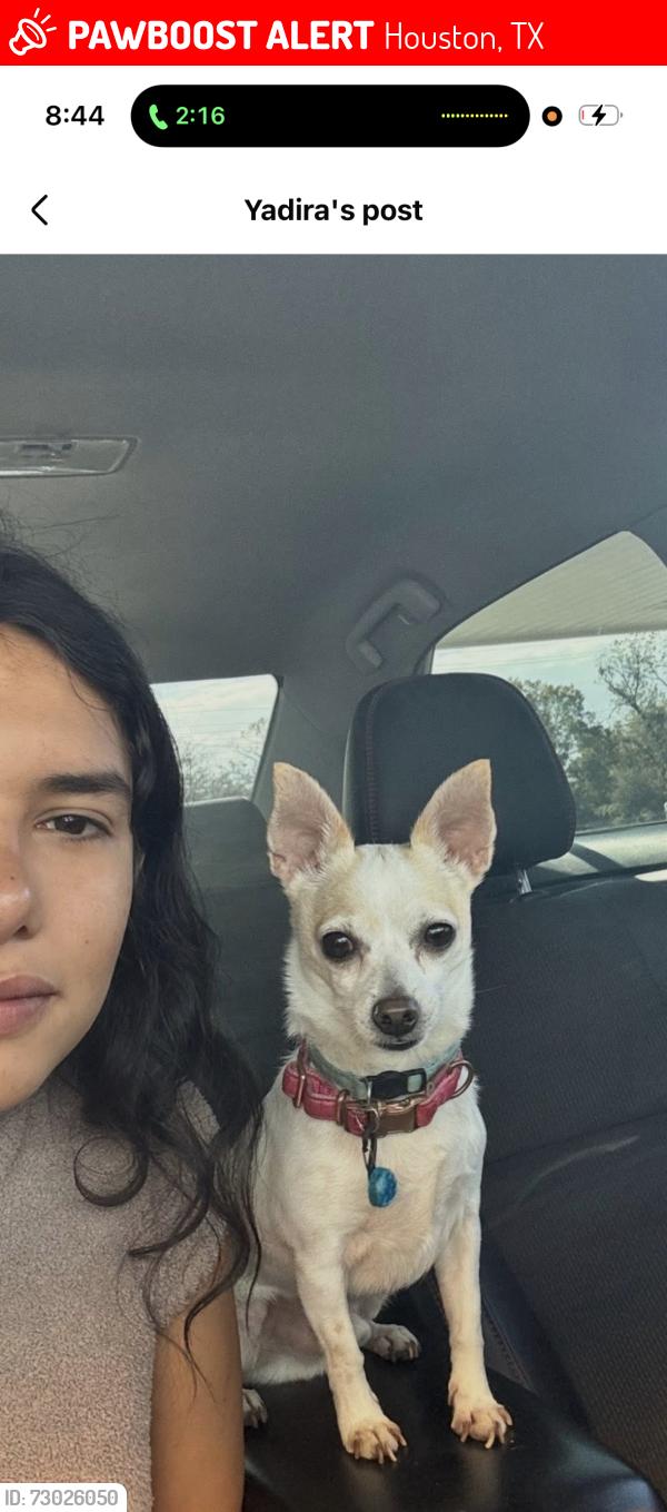 Lost Male Dog last seen At Lincoln park , Houston, TX 77088
