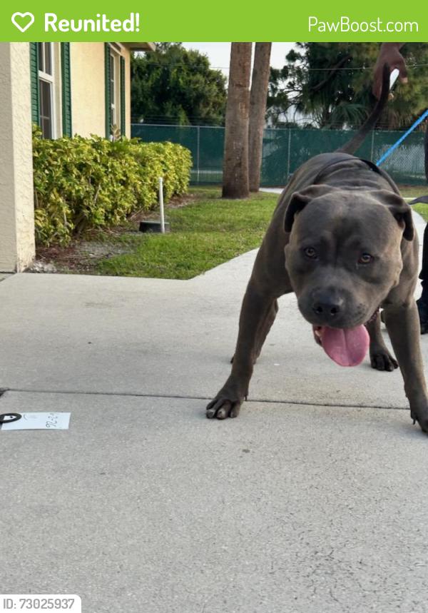 Reunited Male Dog last seen port saint lucie, Polk City, FL 33868
