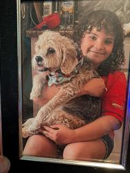 Lost Female Dog last seen N Peachtree & Clyde dr, Chamblee, GA 30341