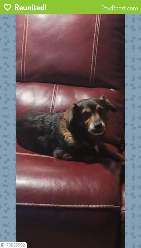 Reunited Male Dog last seen South Alexander Creek Rd, Newnan, GA 30263