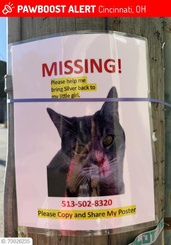 Lost Unknown Cat last seen Mt. Lookout - Columbia-Tusculum area, Cincinnati, OH 45208