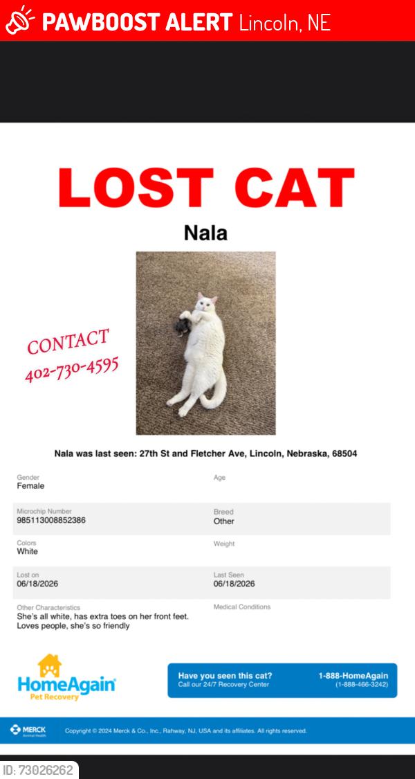 Lost Female Cat last seen 27th fletcher, Lincoln, NE 68521