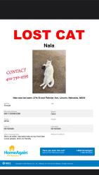 Lost Female Cat last seen 27th fletcher, Lincoln, NE 68521