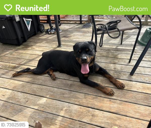 Reunited Male Dog last seen Patterson Farm Rd, Mooresville, NC, Mooresville, NC 28115