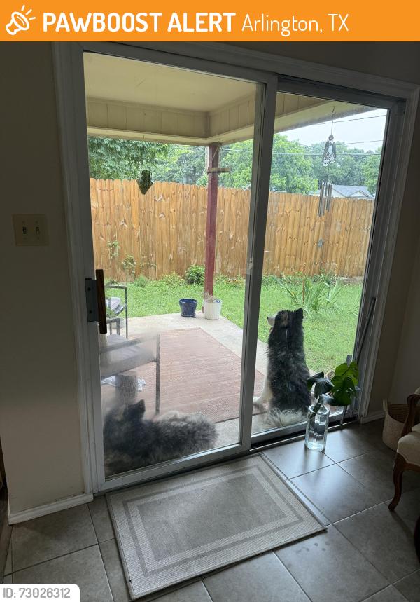 Found/Stray Male Dog last seen Poly Webb road, Arlington, TX 76016