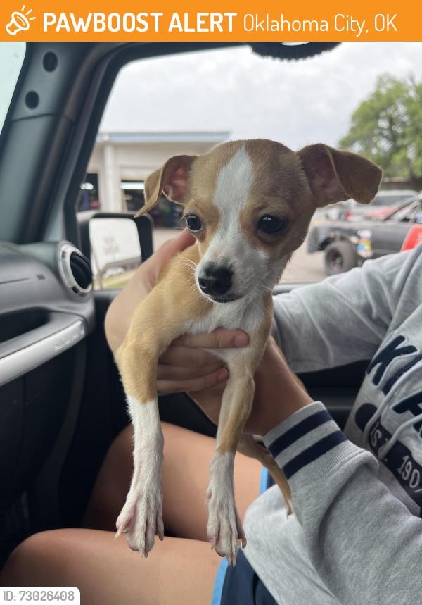 Found/Stray Male Dog last seen Dolese youth park, Oklahoma City, OK 73112