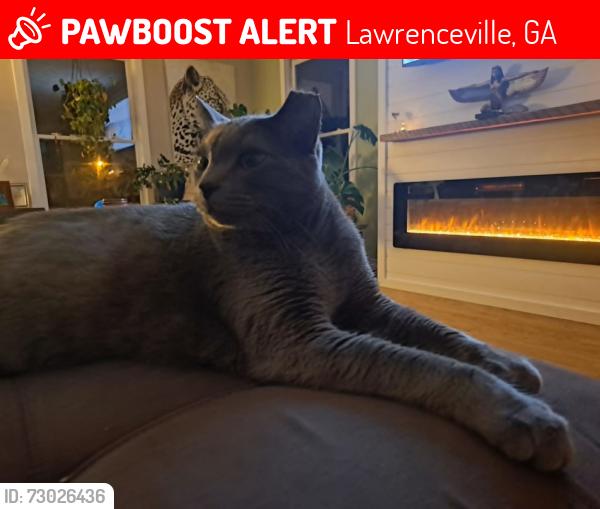 Lost Male Cat last seen Craig Drive and Crest (near Central Gwinnett High School, Lawrenceville Hwy), Lawrenceville, GA 30046