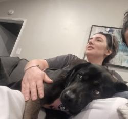 Lost Female Dog last seen Echo ridge court, Humble, TX 77339