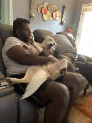 Lost Female Dog last seen Piedmont Rd. Railroad track Crestview Church, Cobb County, GA 30066