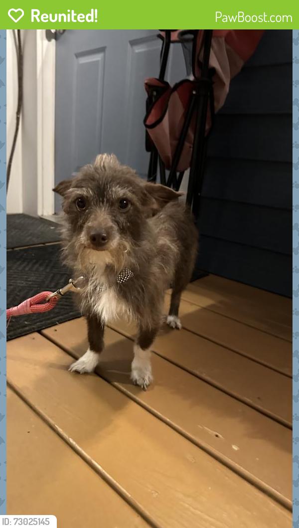 Reunited Male Dog last seen John st by US-29, China Grove, NC 28023