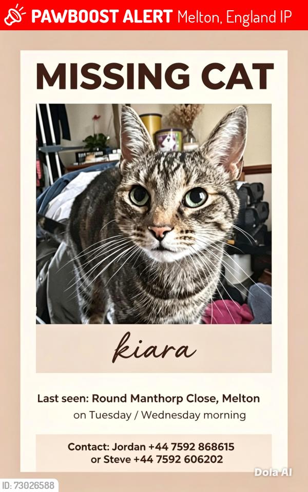 Lost Female Cat last seen Hall farm road , Melton, England IP12