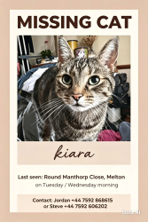 Lost Female Cat last seen Hall farm road , Melton, England IP12