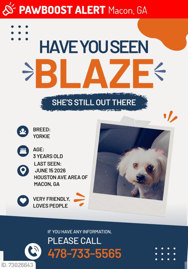 Lost Female Dog last seen Houston Ave, Macon, GA 31213