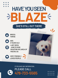 Lost Female Dog last seen Houston Ave, Macon, GA 31213