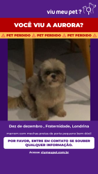 Lost Female Dog last seen Rua santa luzia com rua santa Mônica no bairro Franca em Londrina, Franca, PR 86030-030