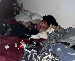 Lost Female Dog last seen Near w 7200 s, Magna, UT 84044