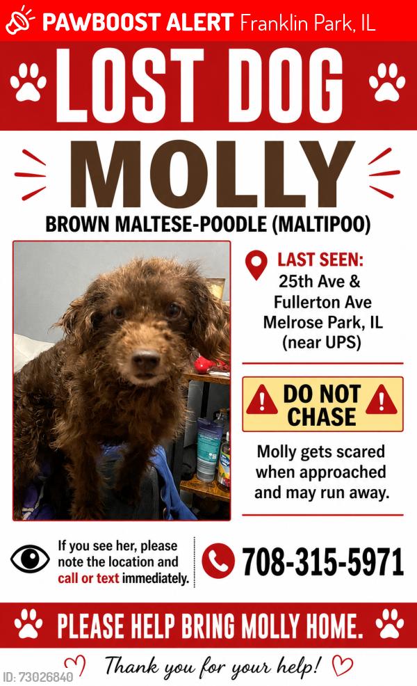 Lost Female Dog last seen 25th ave and Fullerton inform of ups factories , Franklin Park, IL 60131