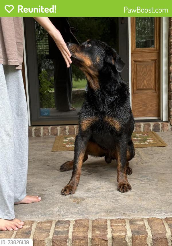 Reunited Male Dog last seen Hey 3, Mooresville, NC 28115