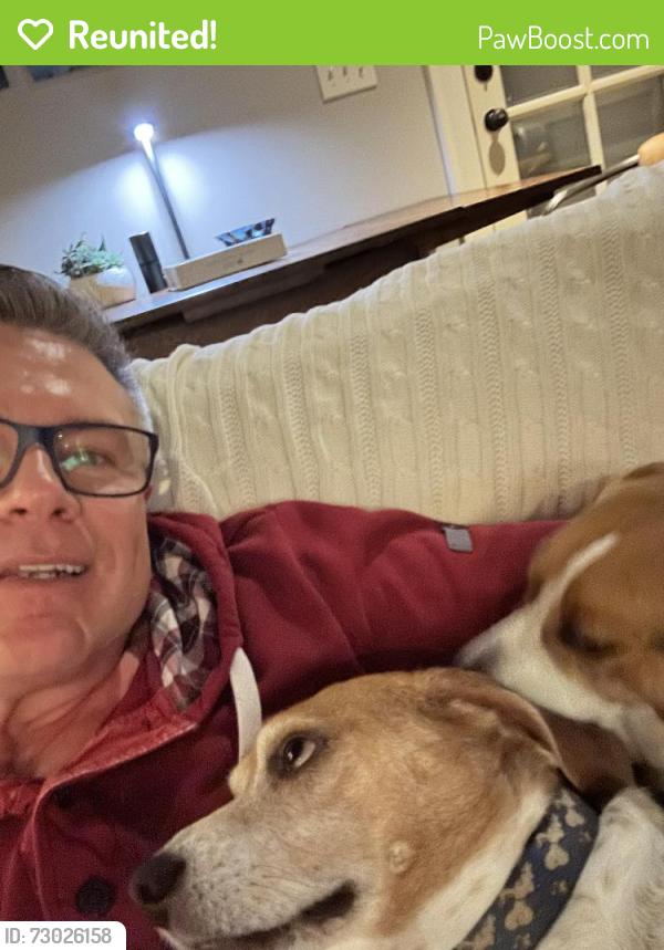 Reunited Female Dog last seen Near Long Hollow Pike, Hendersonville , Hendersonville, TN 37075