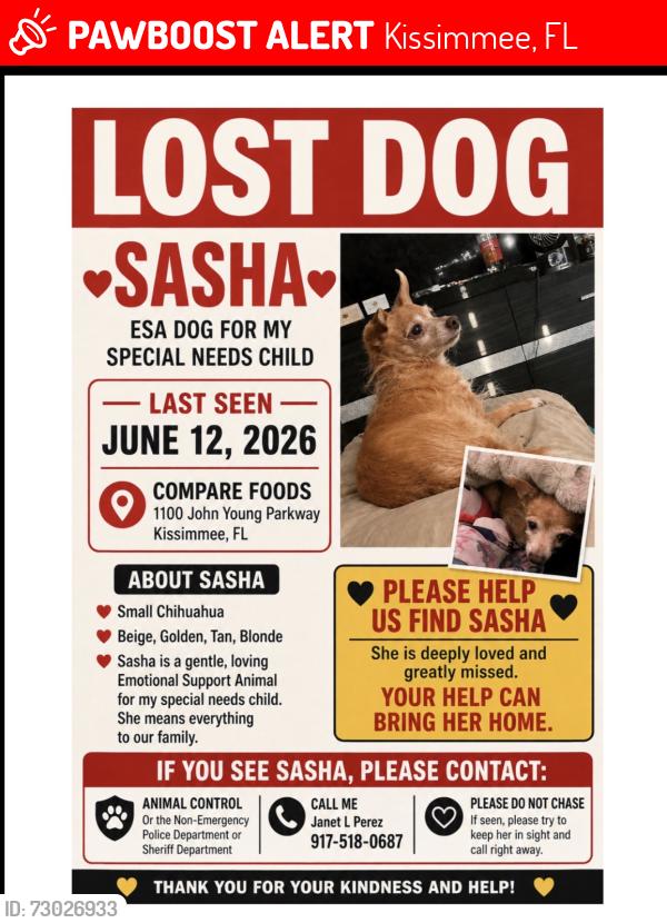 Lost Female Dog last seen M.L.K. And Lincoln , Kissimmee, FL 34741