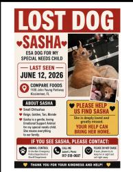 Lost Female Dog last seen M.L.K. And Lincoln , Kissimmee, FL 34741