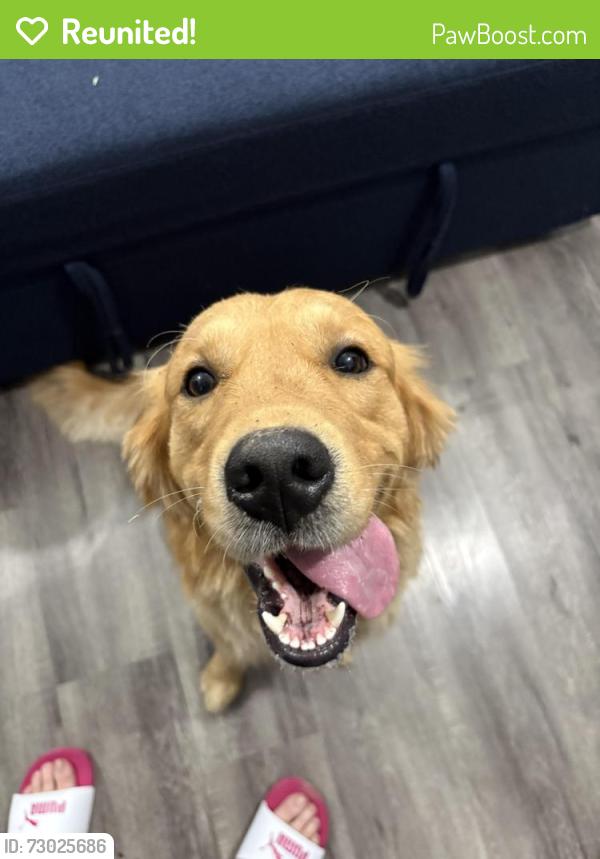 Reunited Male Dog last seen Second Ave and Oxford Chula Vista , Chula Vista, CA 91911
