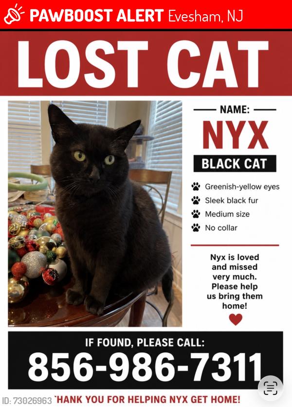 Lost Female Cat last seen Near Marlton post office , Evesham, NJ 08053