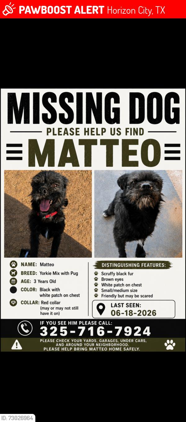 Lost Male Dog last seen Peter Noyes drive el paso, Horizon City, TX 79928